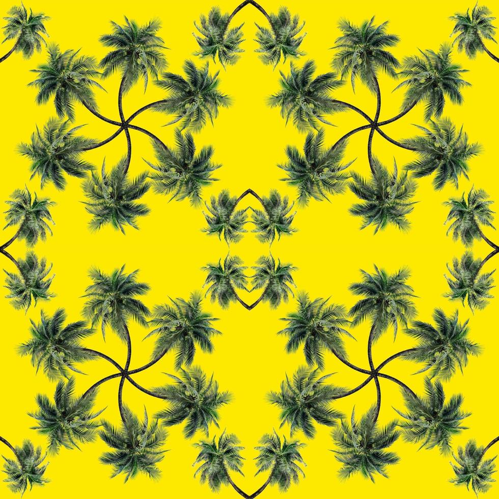 Green palm leaves pattern for nature concept,tropical coconut tree isolated on yellow background photo