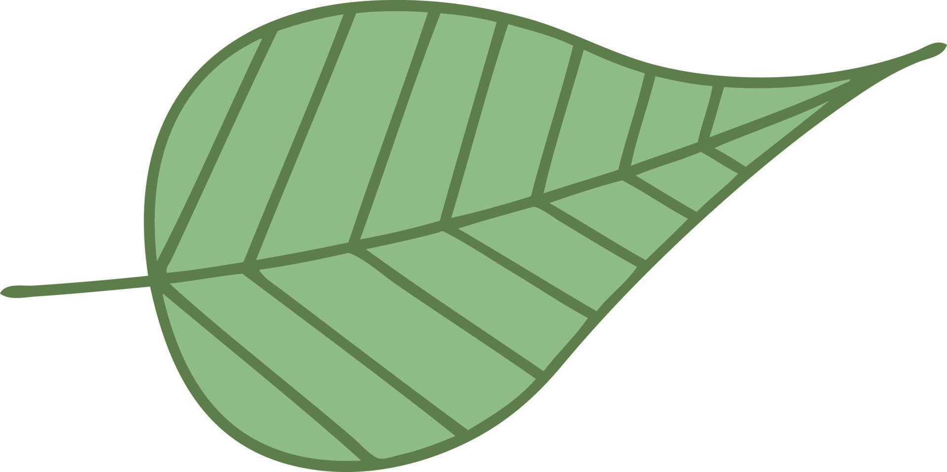 flat color retro cartoon green leaf vector