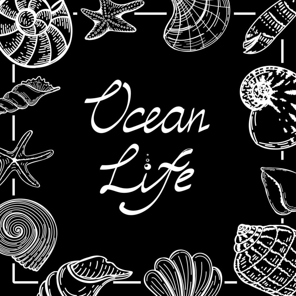 Banner template in nautical style. Hand drawn seashells and starfish in sketch style. Ocean life. Handwritten font. Template for a nautical-themed advertisement or flyer on a black background vector