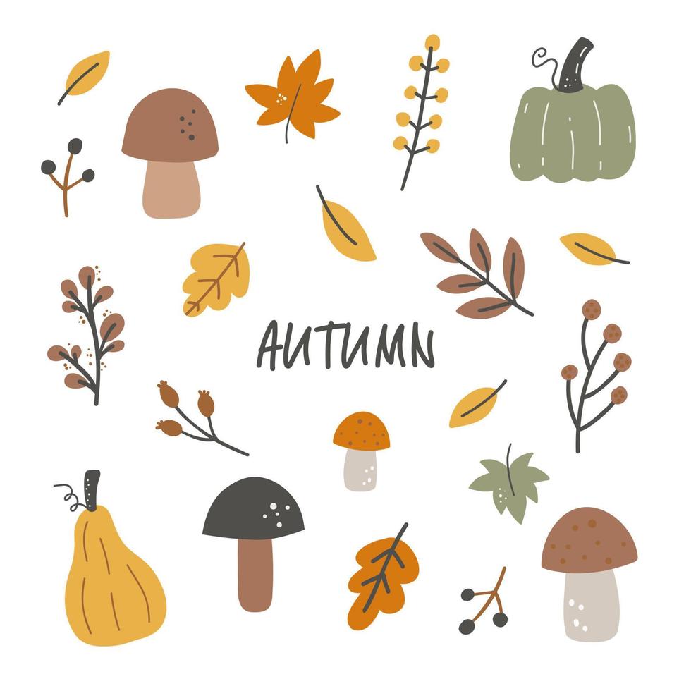 Hand drawn vector autumn leaves, mushrooms, berries and more. Seasonal fall harvest. Colored flat vector illustration isolated on white background.