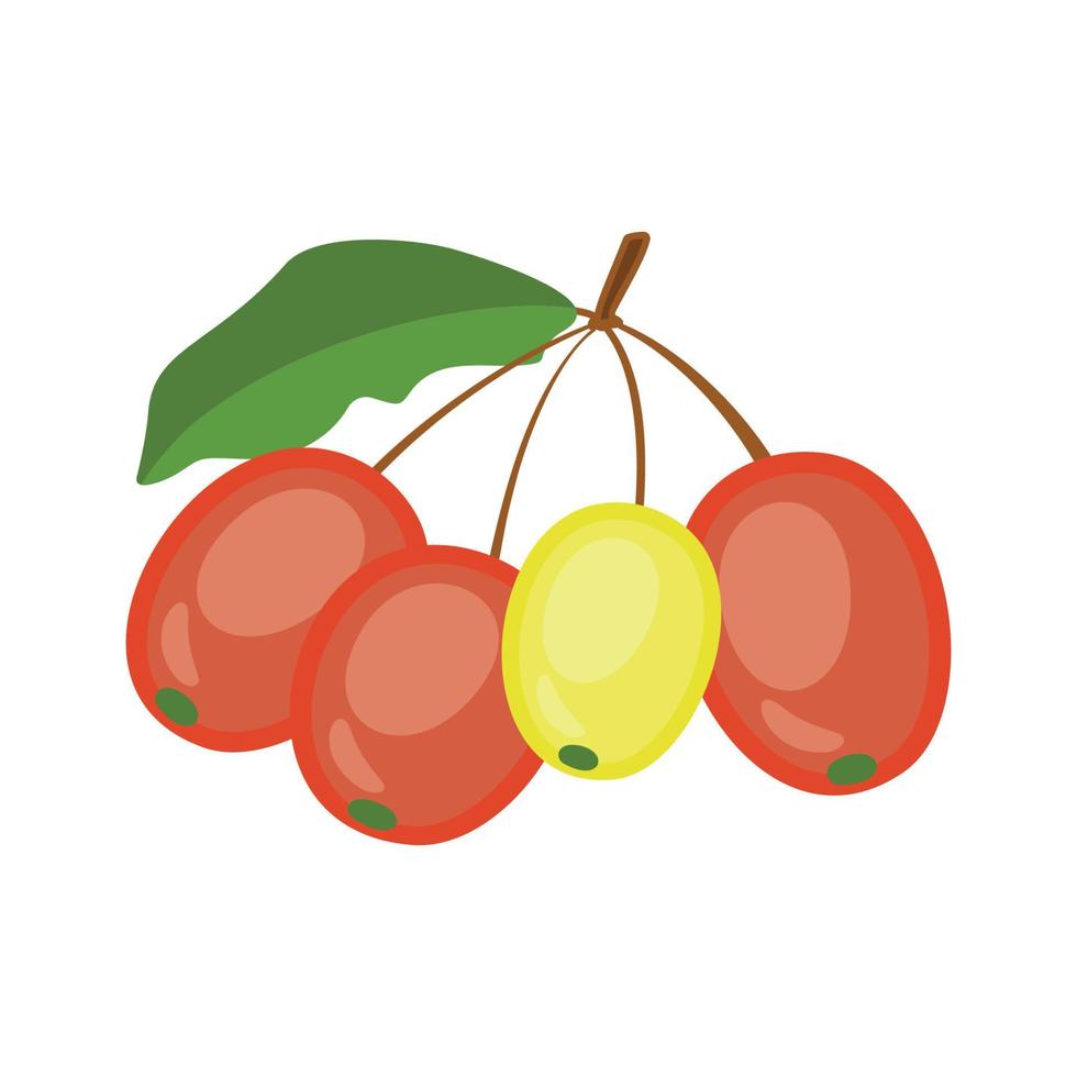 Ilustración de vector de cereza dulce sobre un fondo blanco