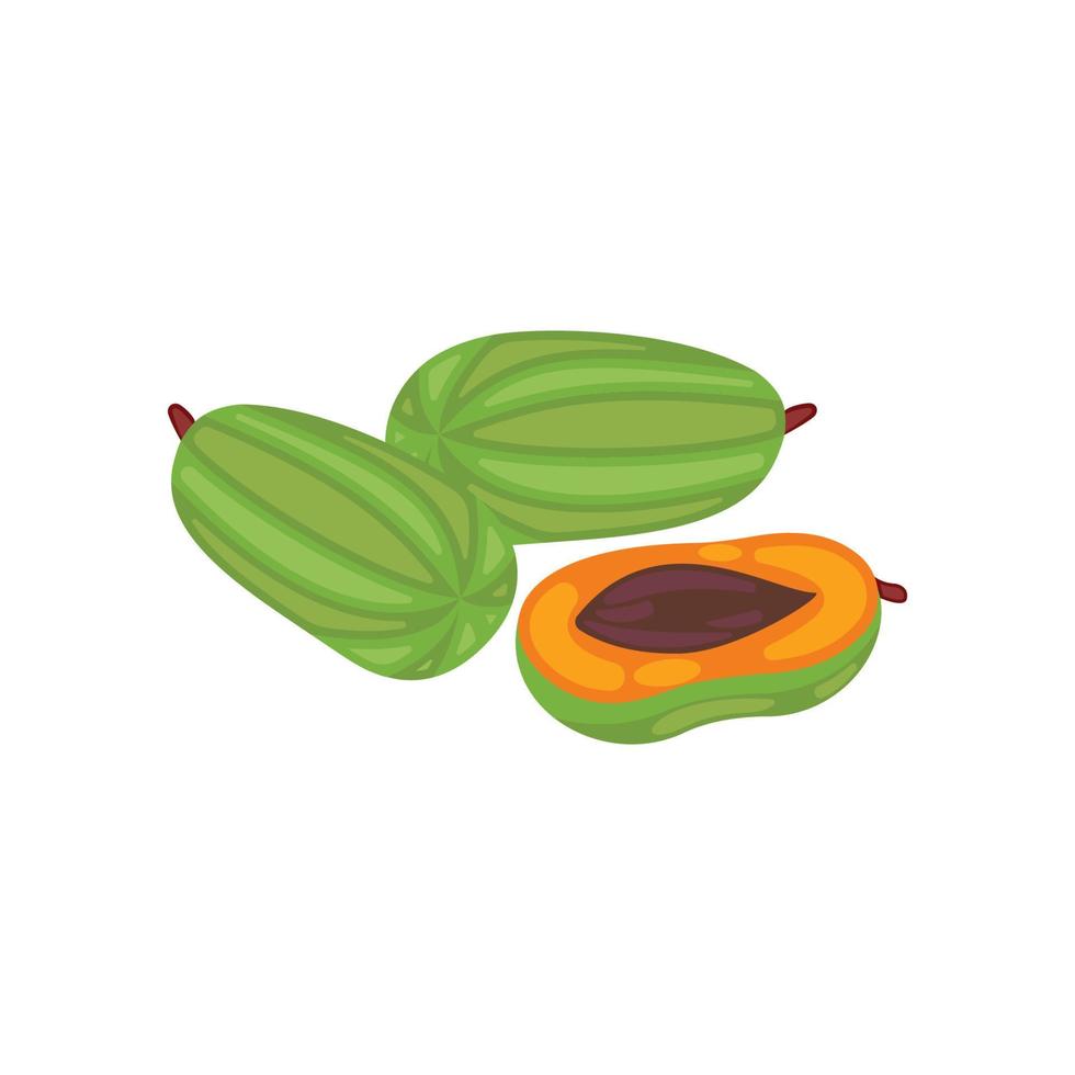 Fruit of the papaya, cut on a white background, isolated vector illustration