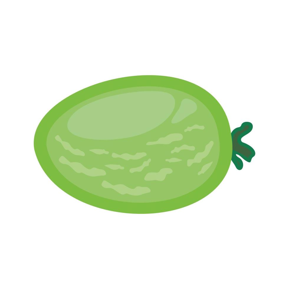 Isolated cucumber on a white background. Illustration in vector format