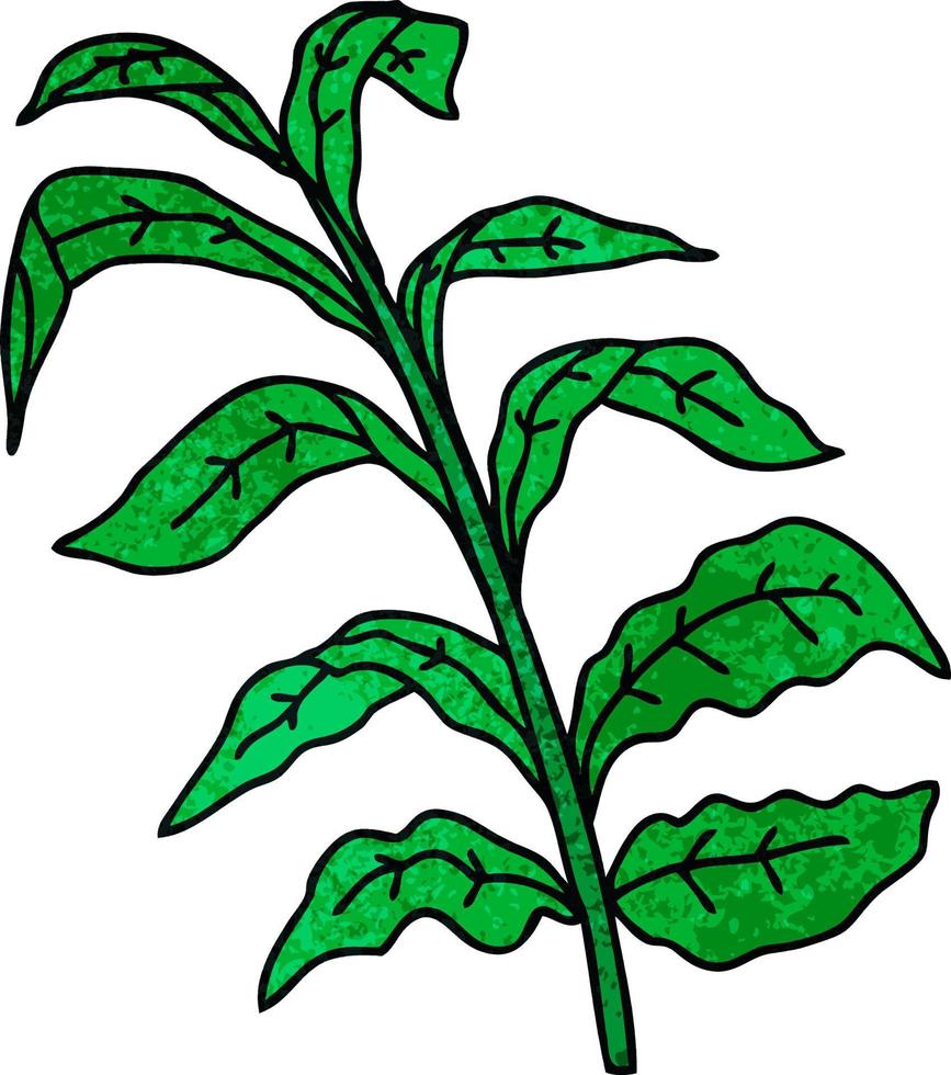 quirky hand drawn cartoon vine leaves vector