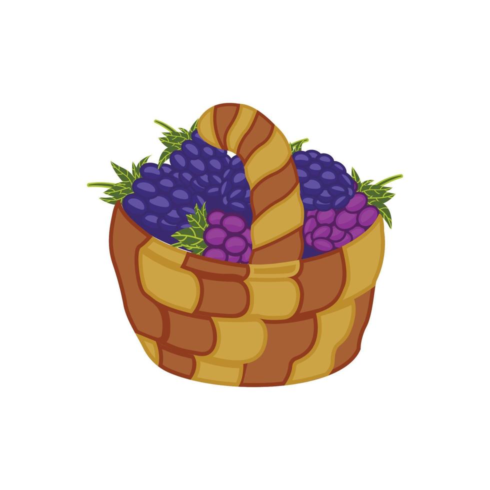 On a white background, an illustration of grapes in a basket. vector