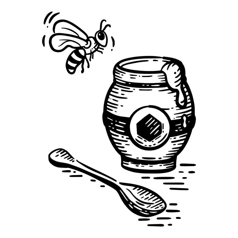 Vector black and white sketch illustration of an open jar of honey, a spoon and a bee