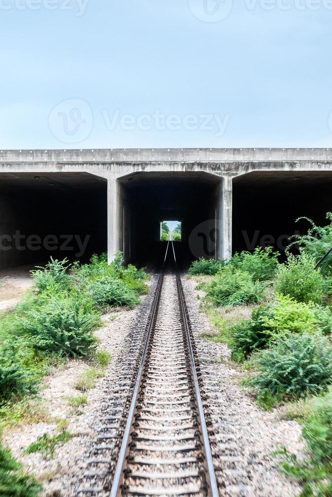 The Railway tunnel photo