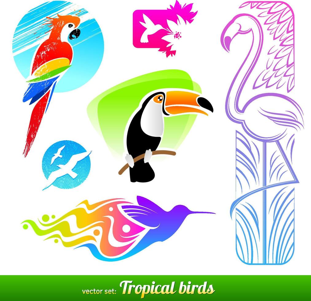 Vector set of different style tropical birds logo