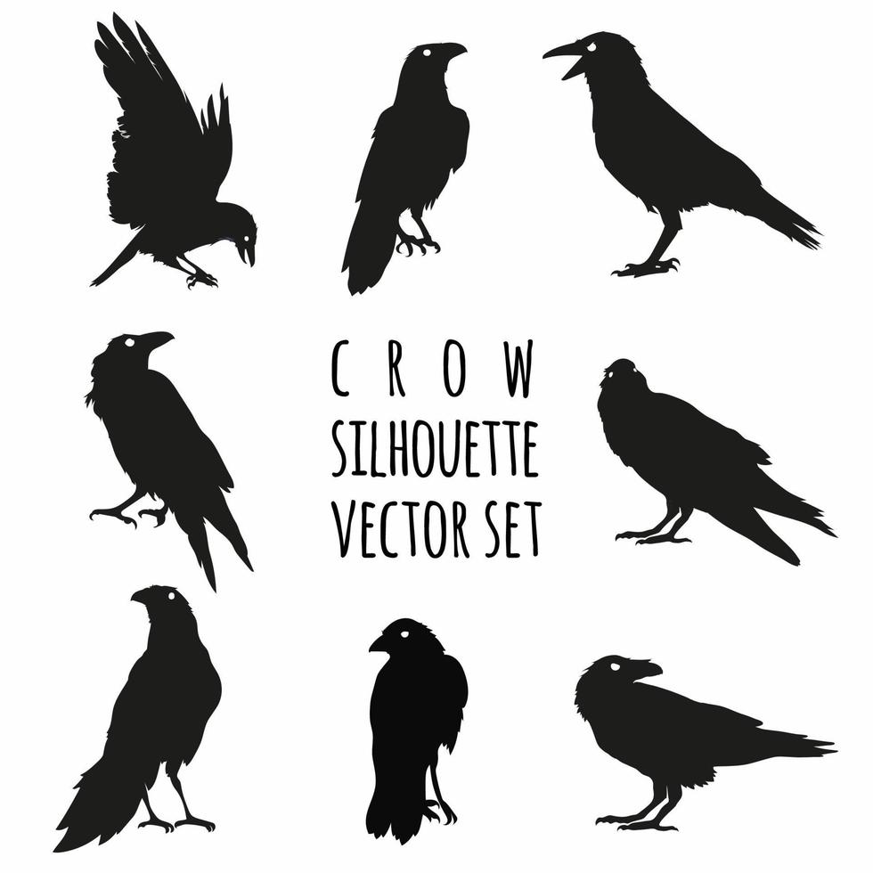 conjunto de vectores de silueta de cuervo, conjunto de vectores de cuervo