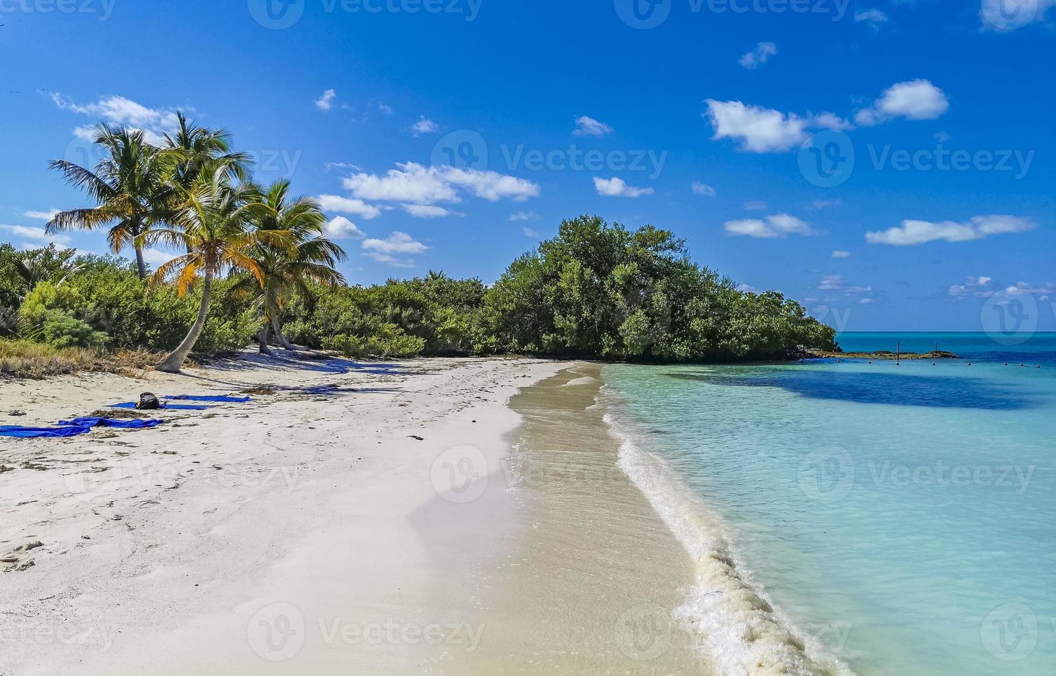 Beautiful tropical natural beach paradise panorama Contoy island Mexico. photo