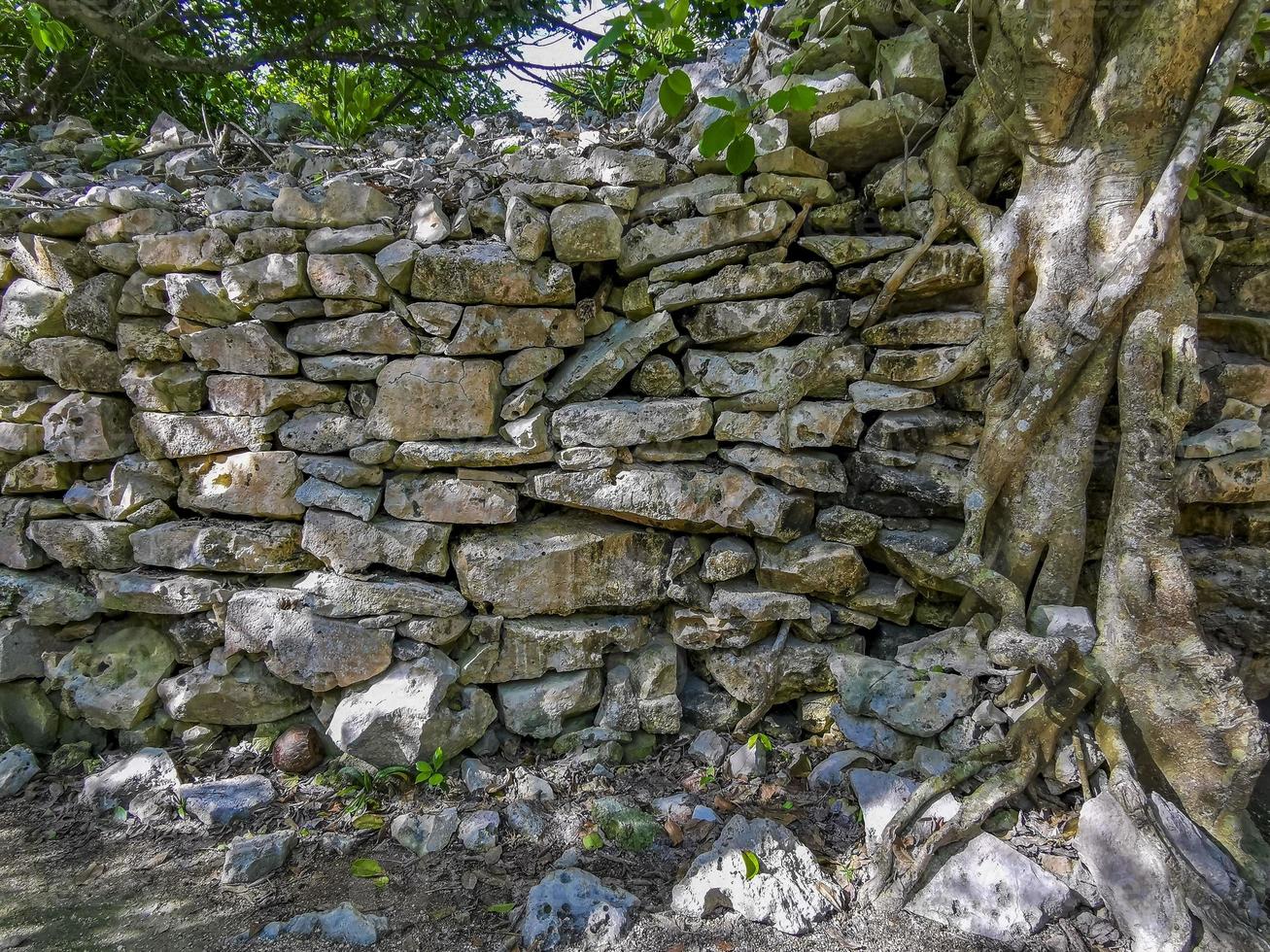 Ancient Tulum ruins Mayan site temple pyramids artifacts seascape Mexico. photo