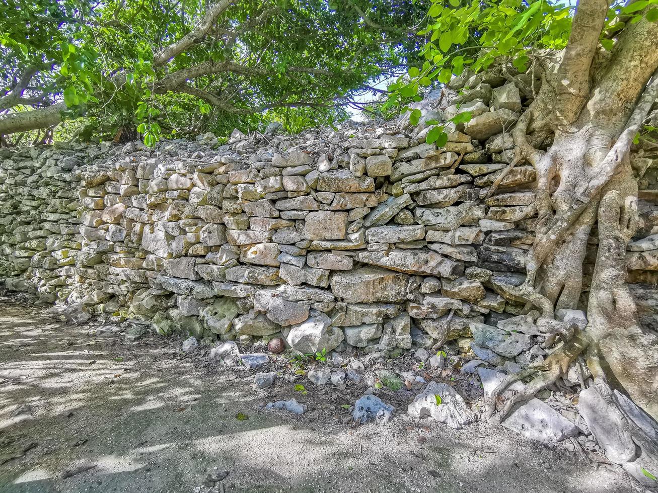 Ancient Tulum ruins Mayan site temple pyramids artifacts seascape Mexico. photo