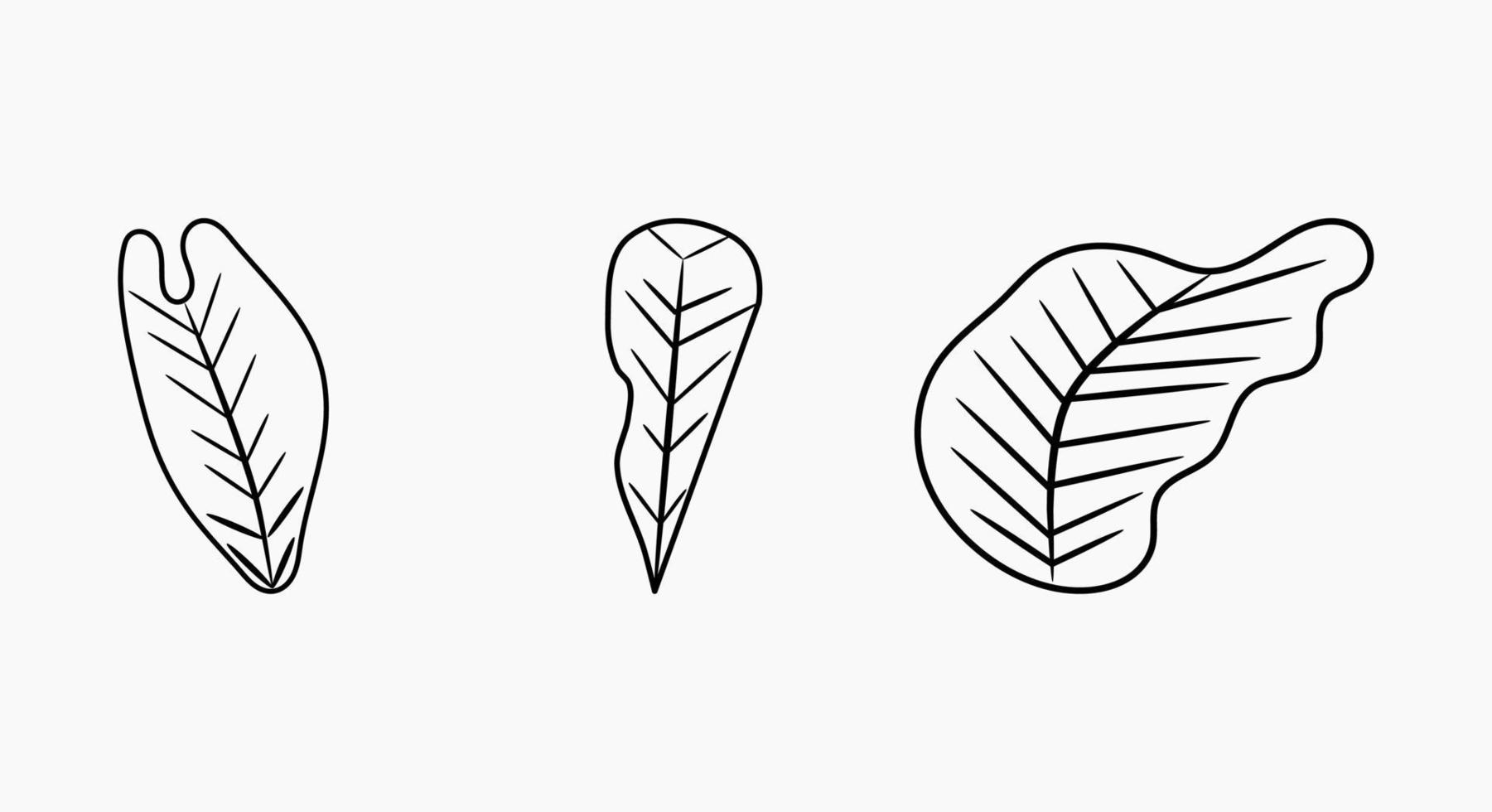 set of leaf line drawing vector