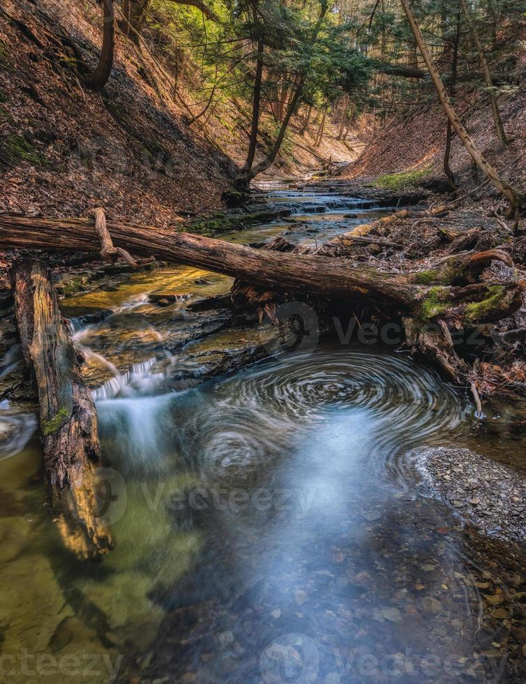 Forest Stream Swirls photo