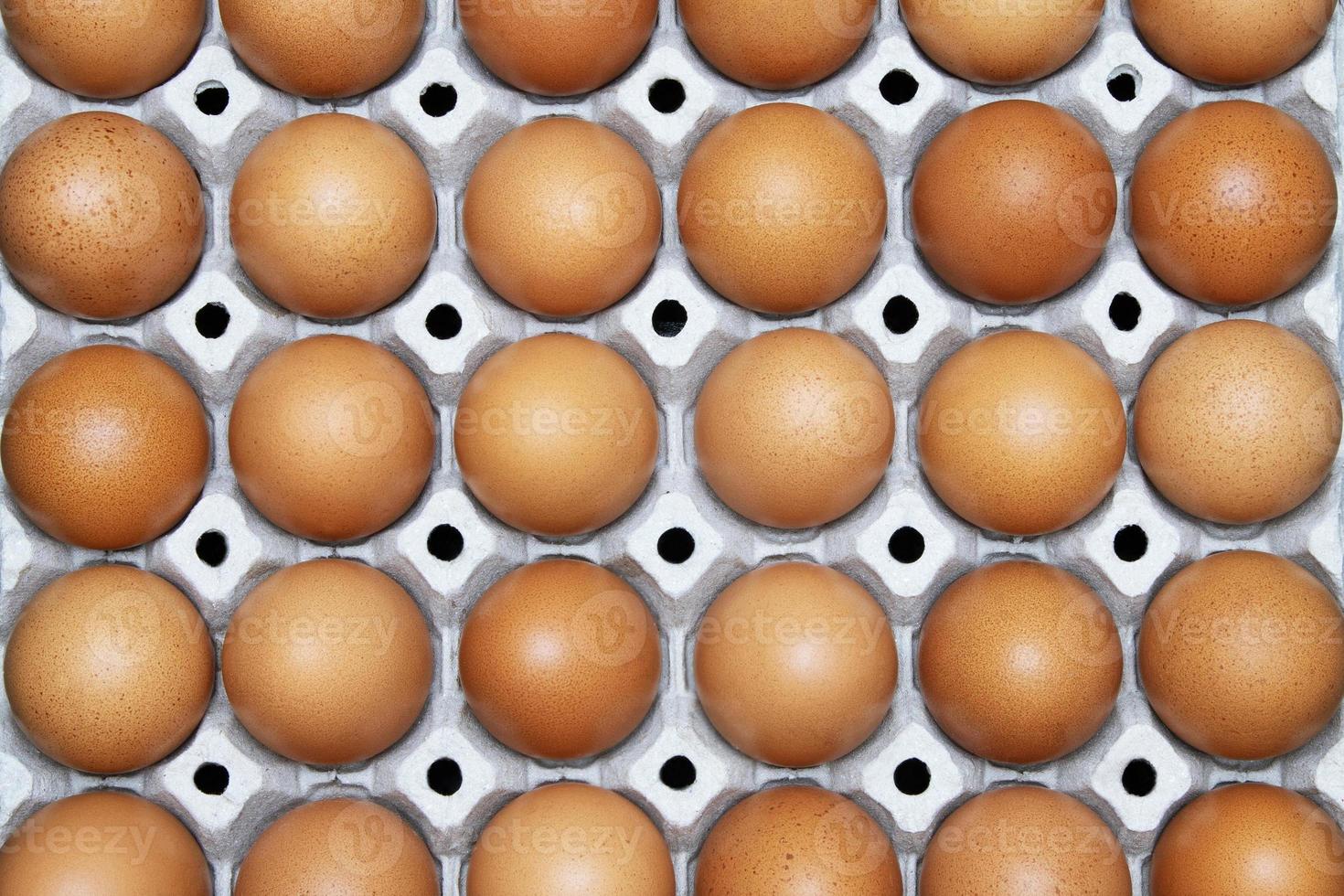 close up whole eggs in box. Chicken egg many. soft focus. top view photo