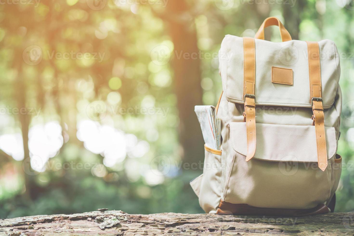 Hipster Backpack walk in the forest Travel accessories and map on Timber lumber log. View from backside tourist traveler bag on background Forest tree. concept holidays Travel. photo