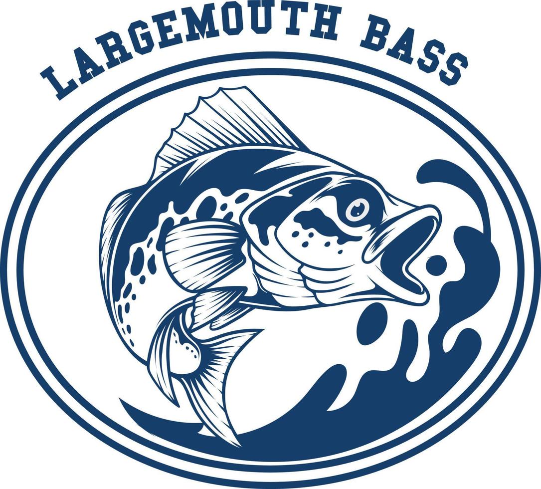 Bass Fish 1.1 vector