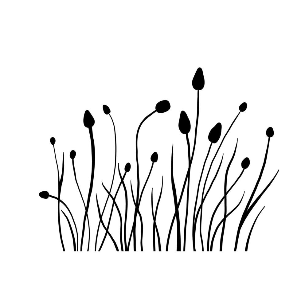 Silhouette wildflowers grass field. Vector black hand drawn illustration with spring or summer flowers. Shadow of herb and plant. Nature field isolated on white background