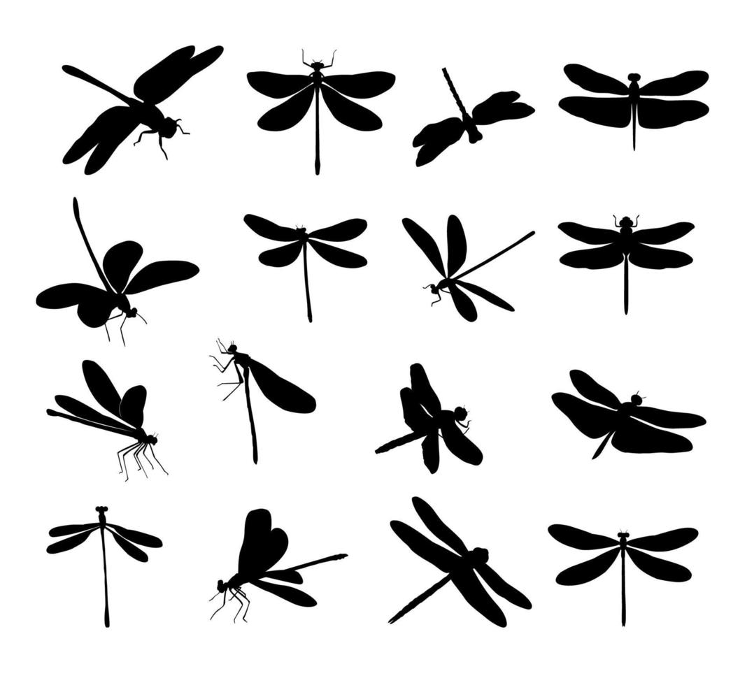 siluetas de libélulas, insectos, sobre fondo blanco. un gran conjunto de libélulas en diferentes poses. vector