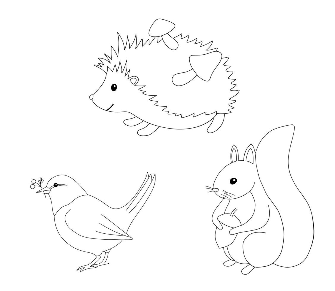 Cute outline hedgehog, squirrel and bird for coloring page. Hand drawn characters forest animals isolated on white background. Line Woodland fall illustration vector