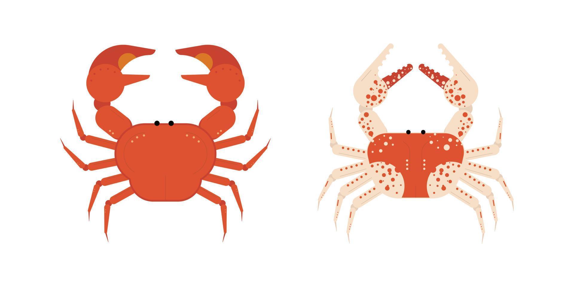 Crab vector. Colorful crab vector. Aquatic animal in flat design vector. Flat style vector illustration isolated on white background.