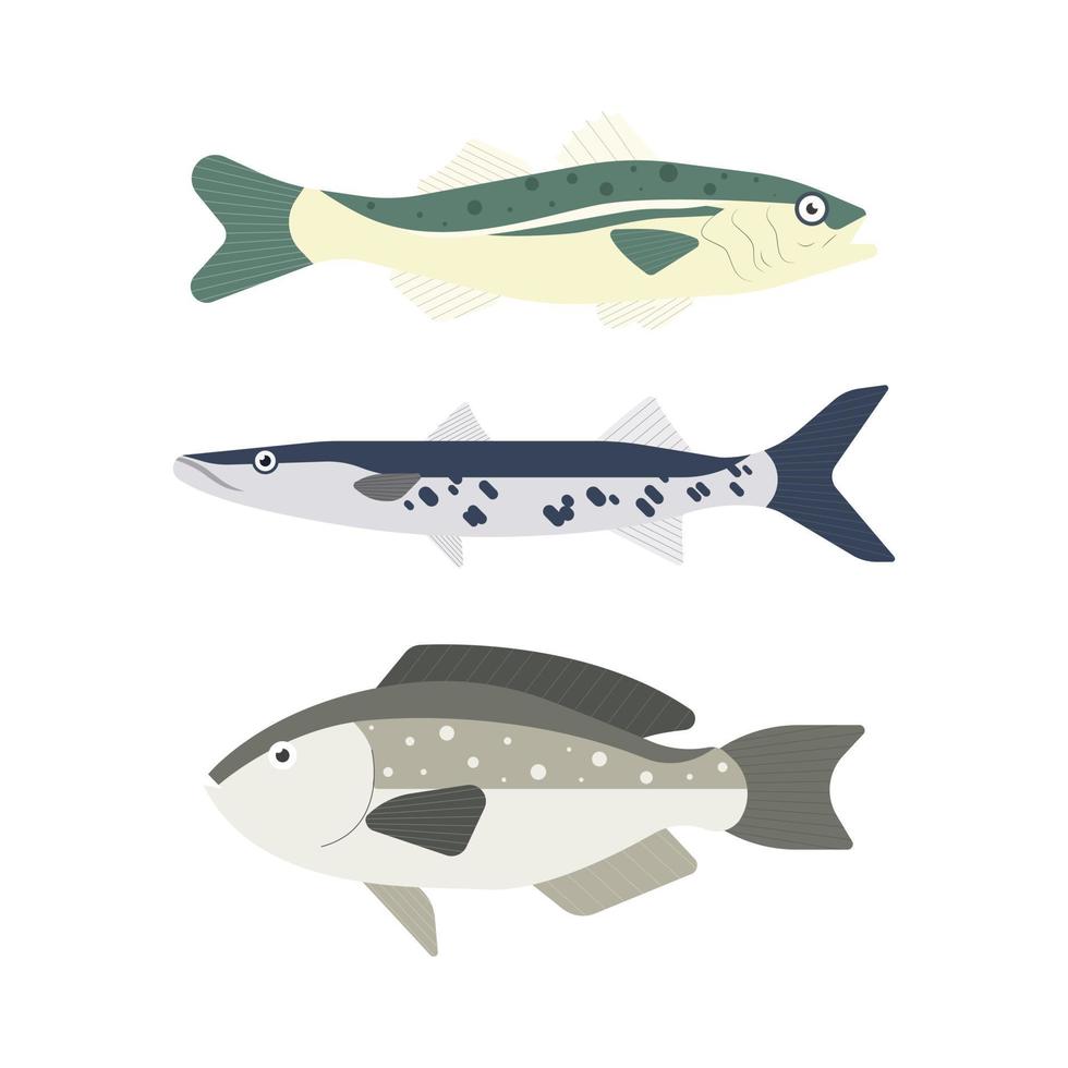 Set of river fish. Fish isolated on white background. Vector illustration.