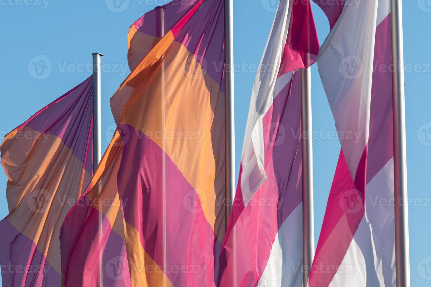 flags in the wind photo