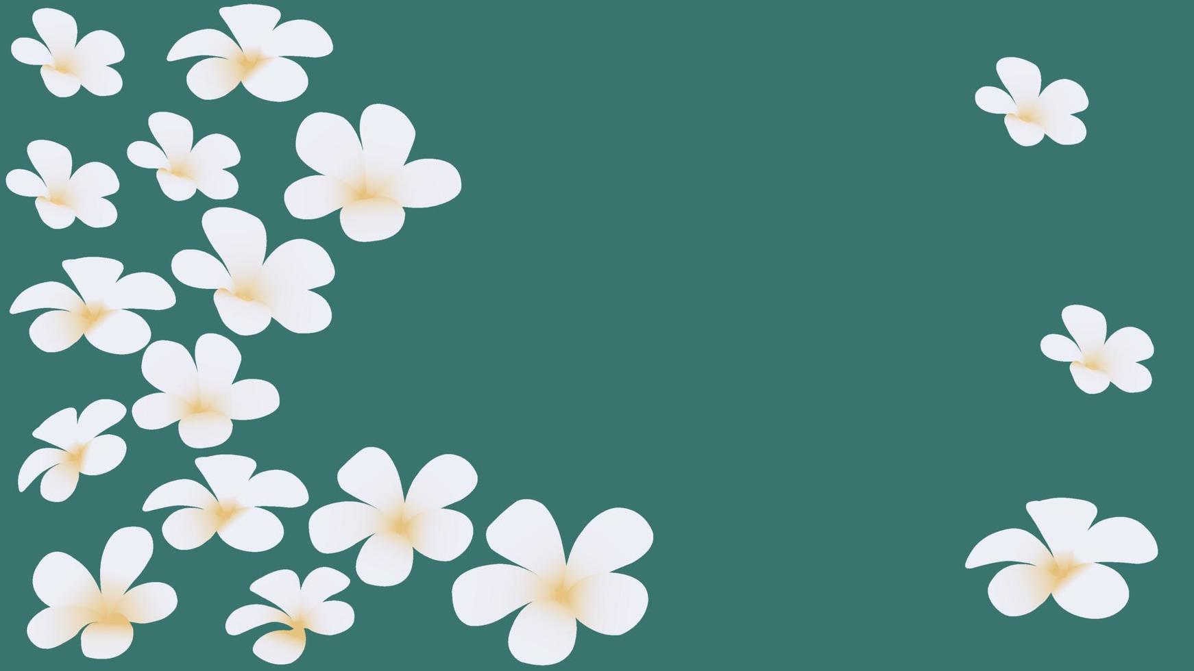 Floral seamless pattern. White plumeria flowers isolated on background vector