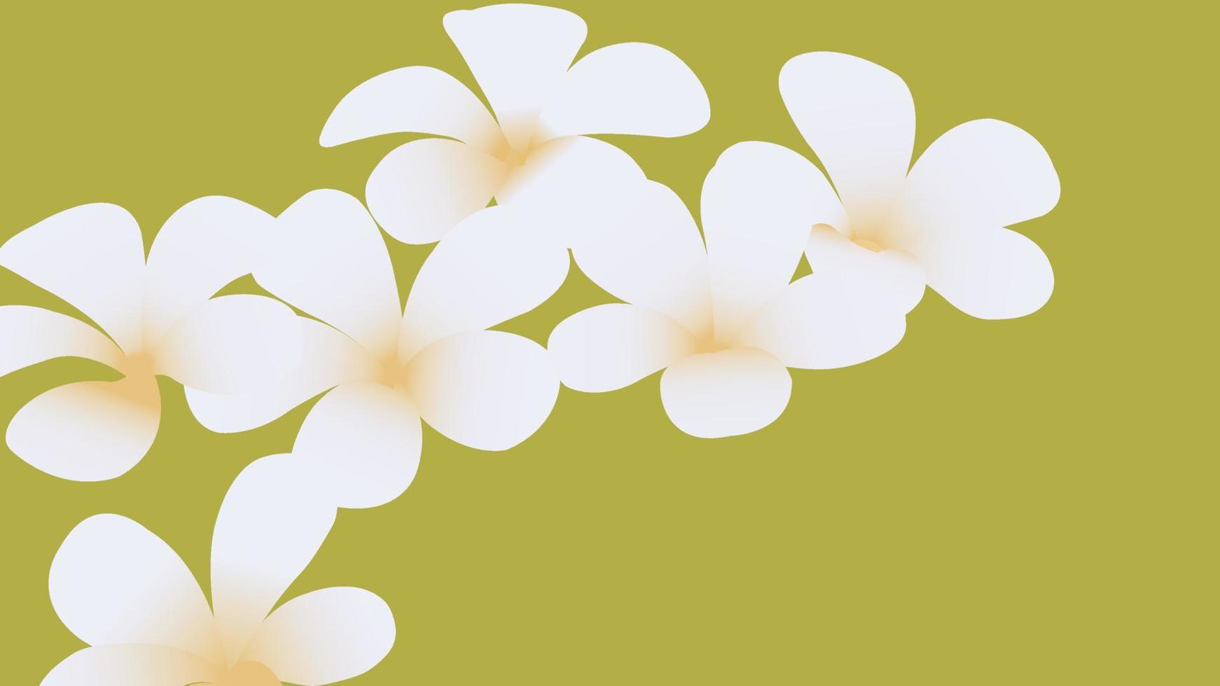 patrones sin fisuras florales. Plumeria flores blancas aisladas sobre fondo vector