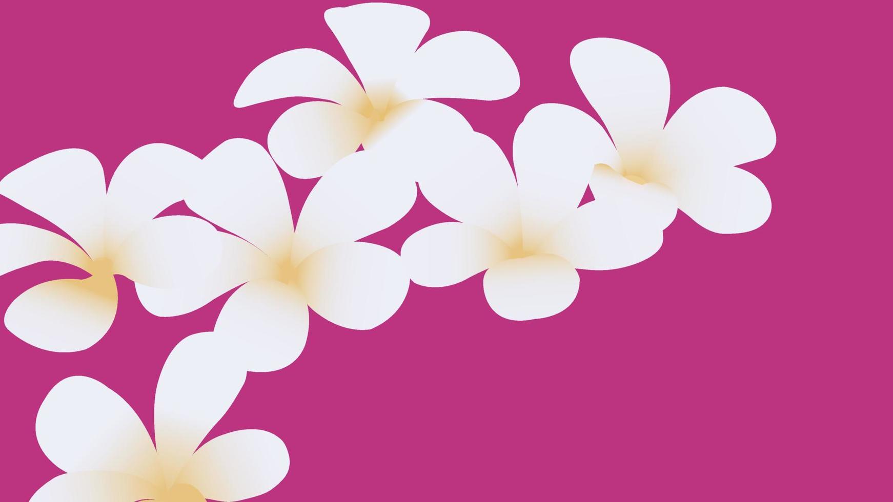 patrones sin fisuras florales. Plumeria flores blancas aisladas sobre fondo vector