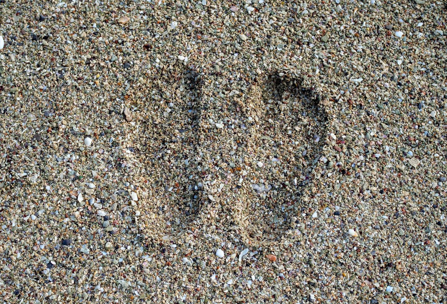 children's footprints stamped on the sand on the beach photo