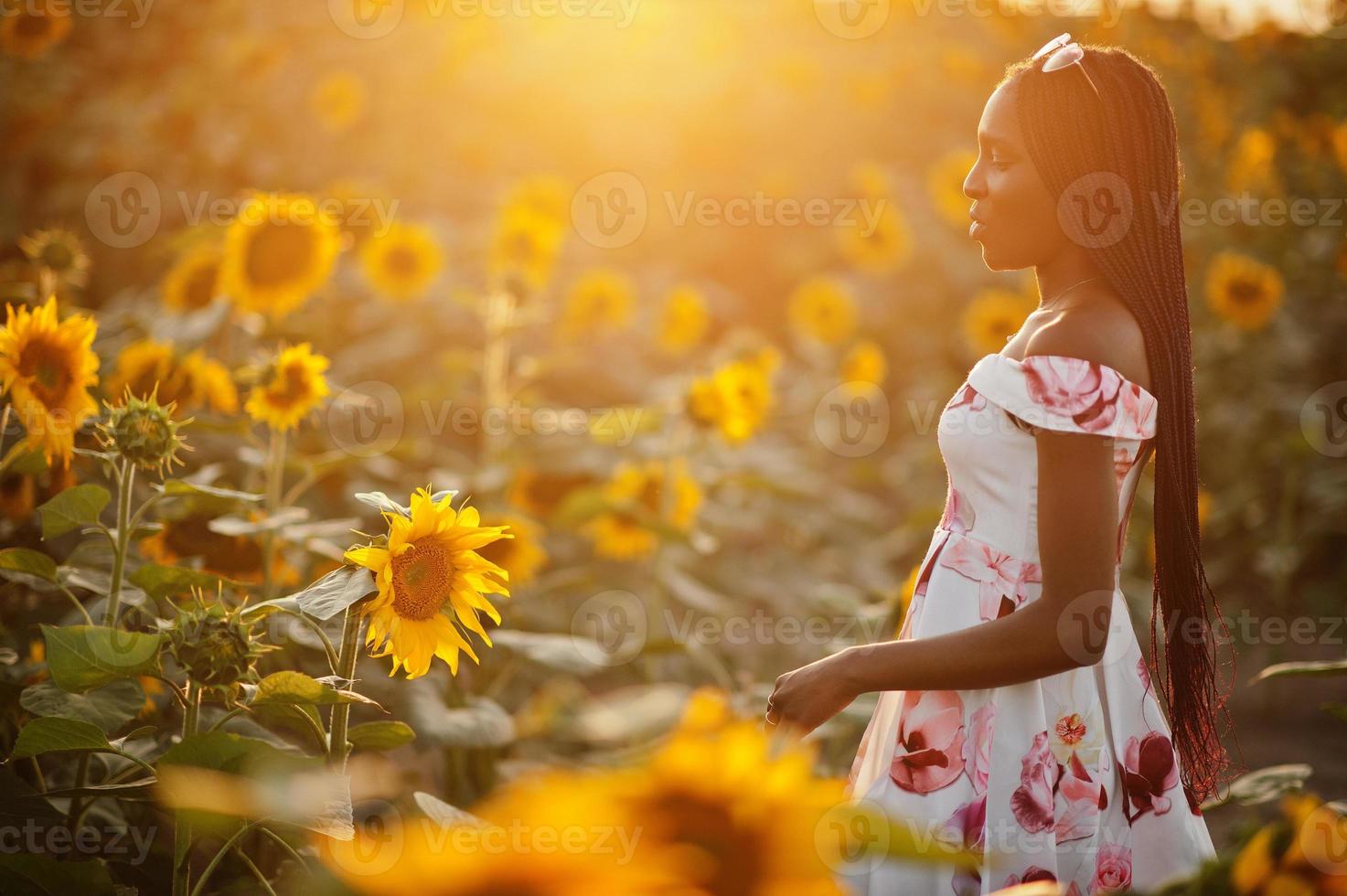 Pretty young black woman wear summer dress pose in a sunflower field. photo