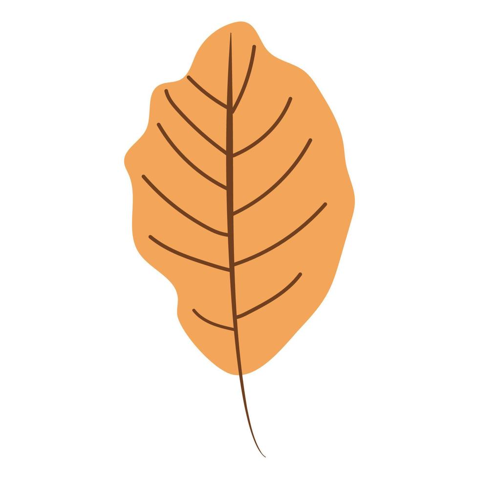 ilustración dibujada a mano de una hoja de otoño aislada en un fondo blanco, vector. vector