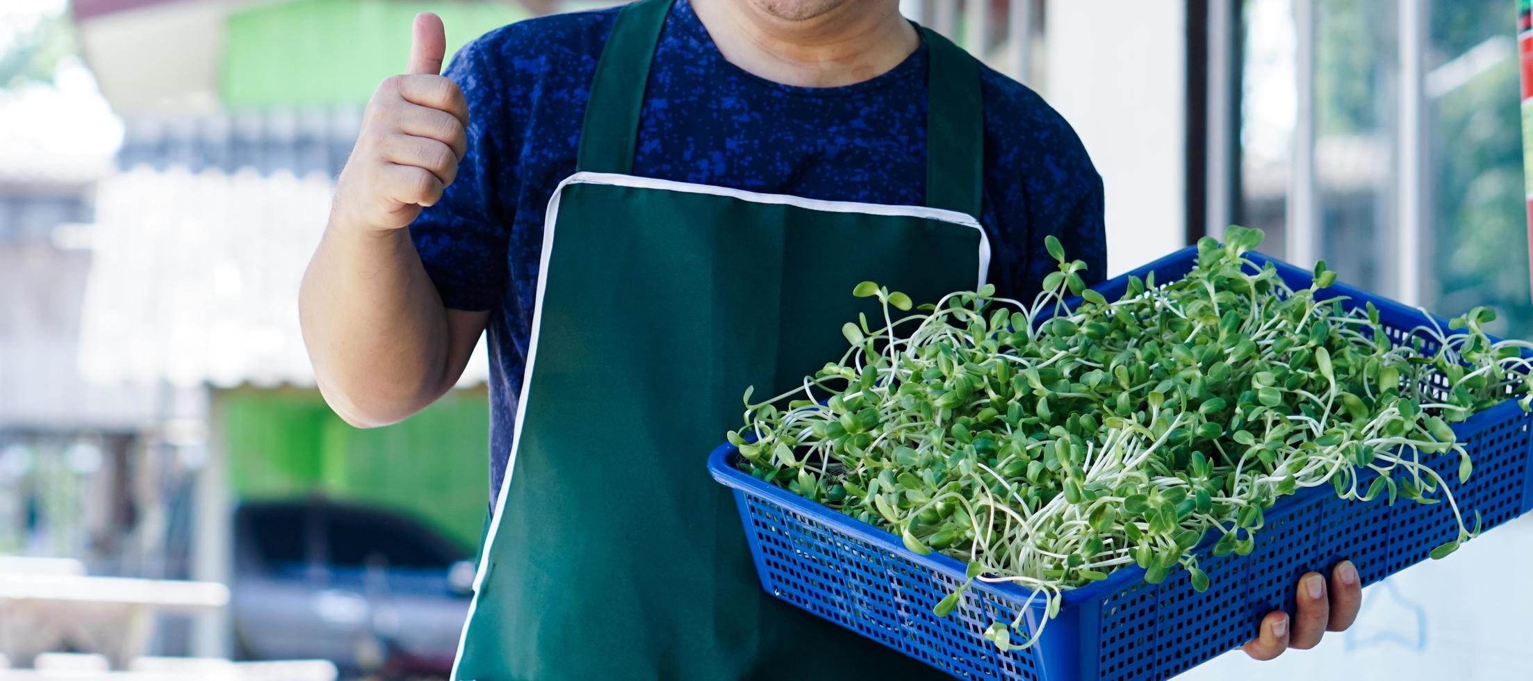 Sunflower sprout in wicker basket and holding in hand, concept for healthy eating, soft and selective focus. photo