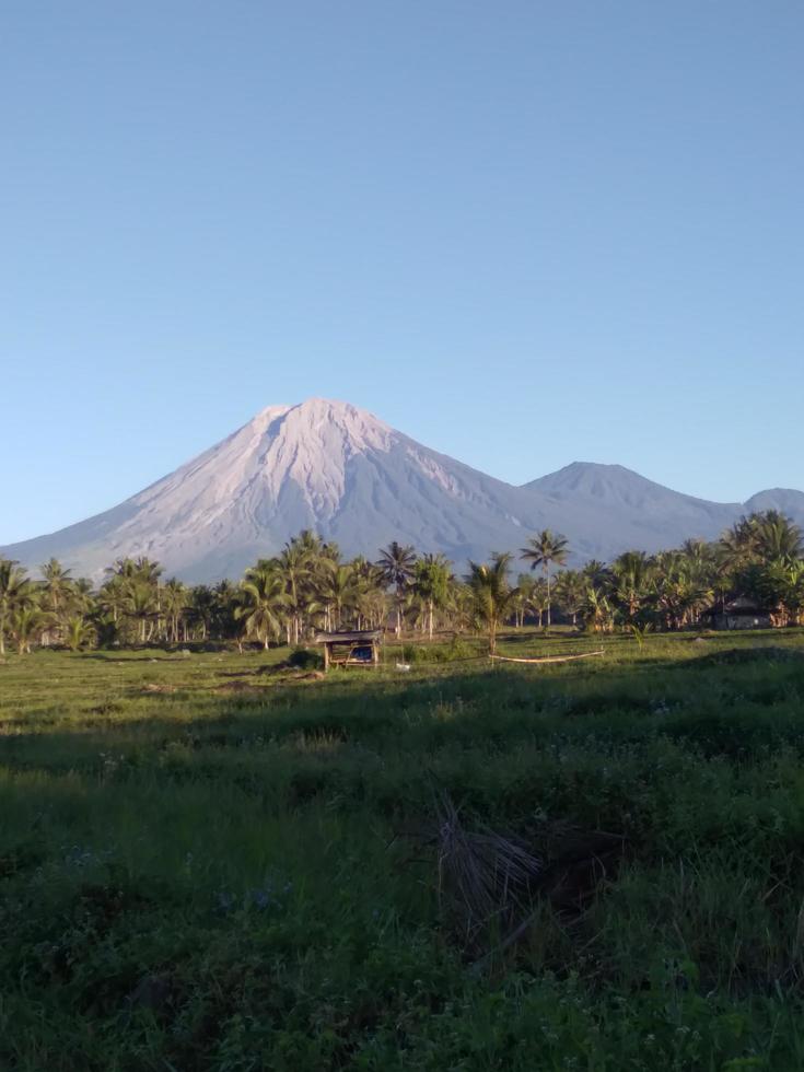 beautiful natural scenery on a sunny morning photo