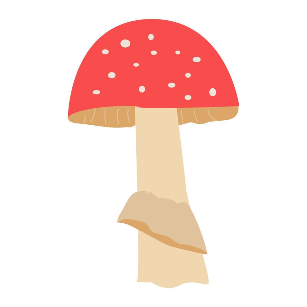 red poisonous mushroom highlighted on a white background. A set of vector illustrations.