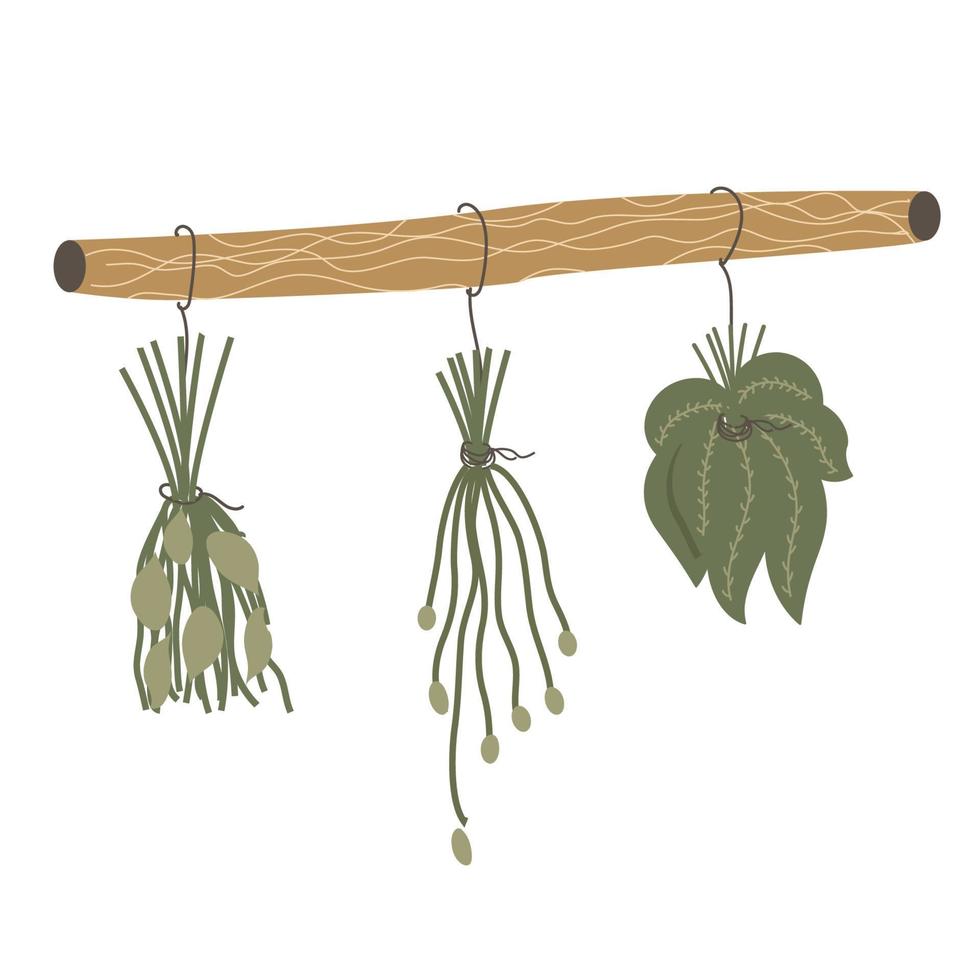 Herbarium vector on a wooden stick. Dried herbs, grass and twigs, natural wild plants, floral decorative elements highlighted on a white background