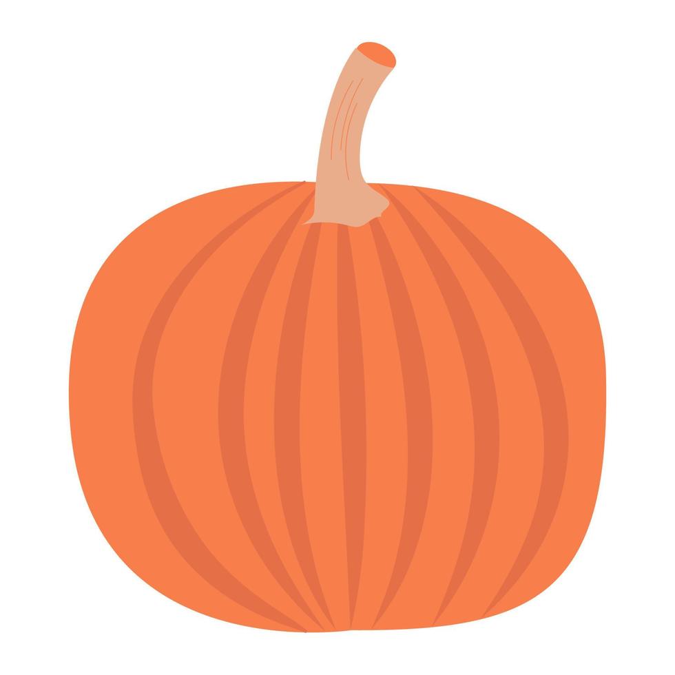 Vector illustration of an orange pumpkin. Autumn pumpkin for Halloween, vegetable graphic icon or print highlighted on a white background