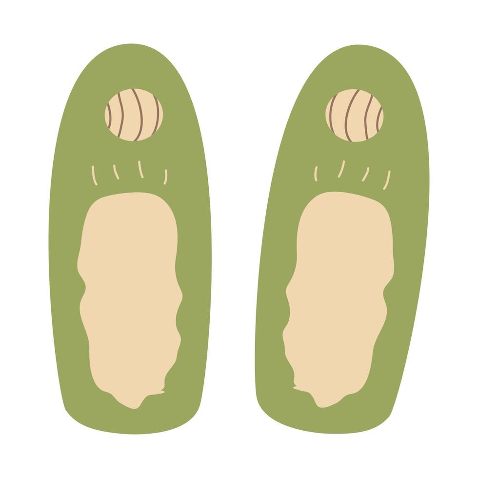 pair of slippers. Green cozy home comfortable shoes highlighted on a white background. vector