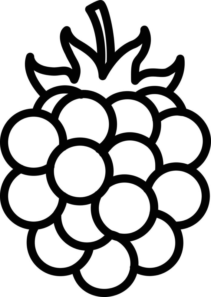 Blackberry Line Icon vector