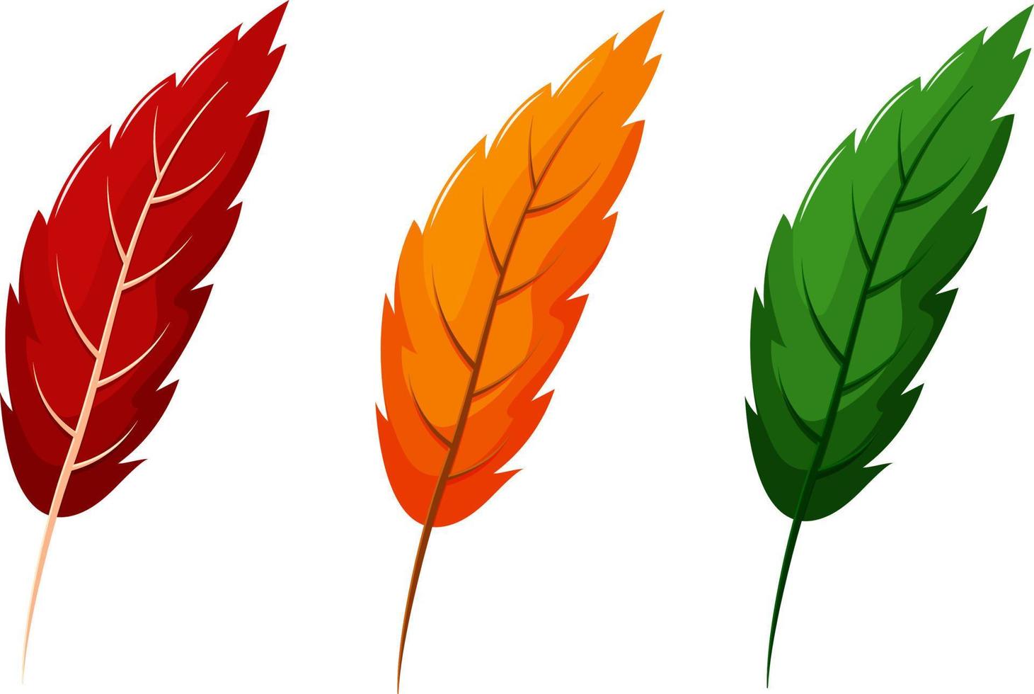 sharp tree leaf in three colors vector