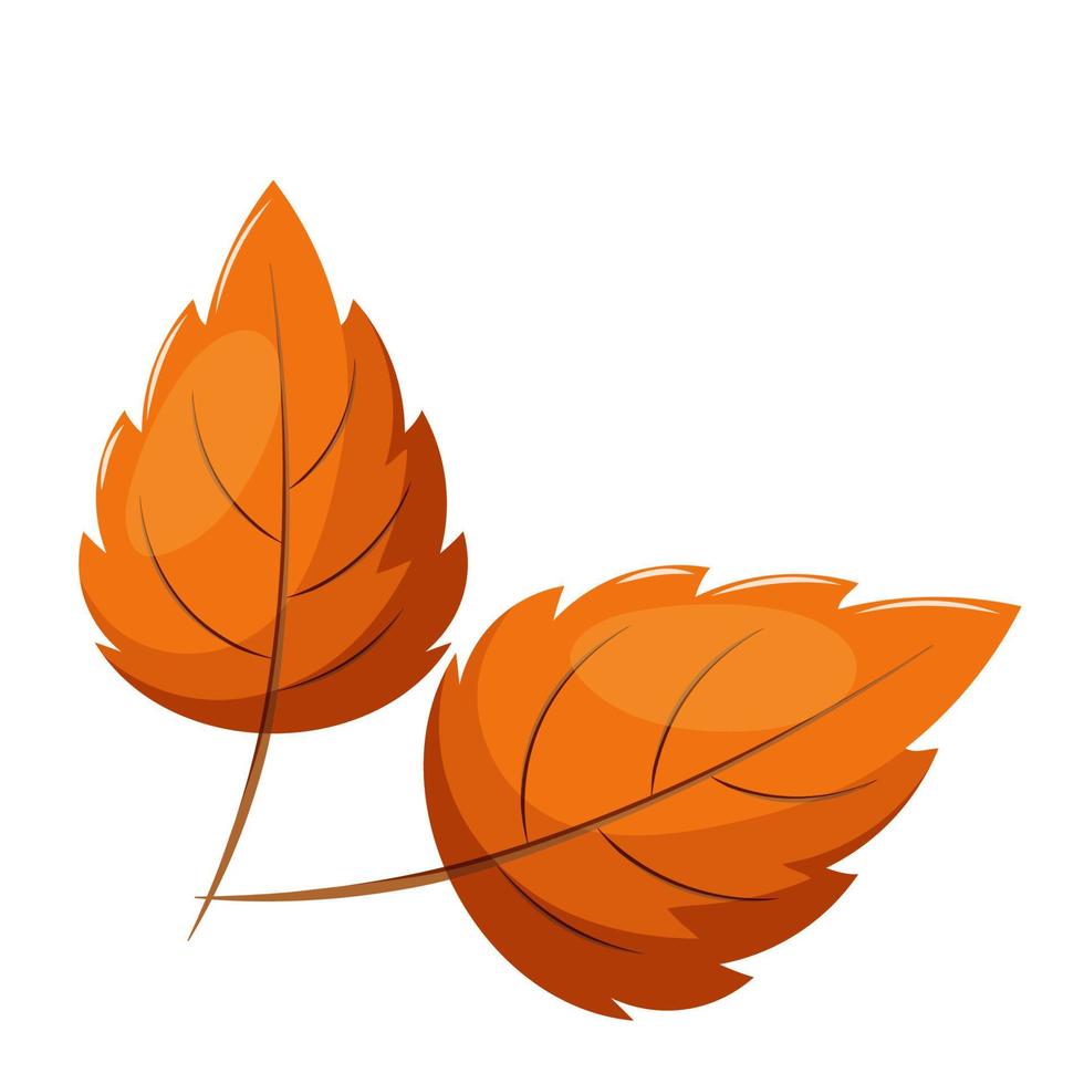 Simple autumn leaf vector
