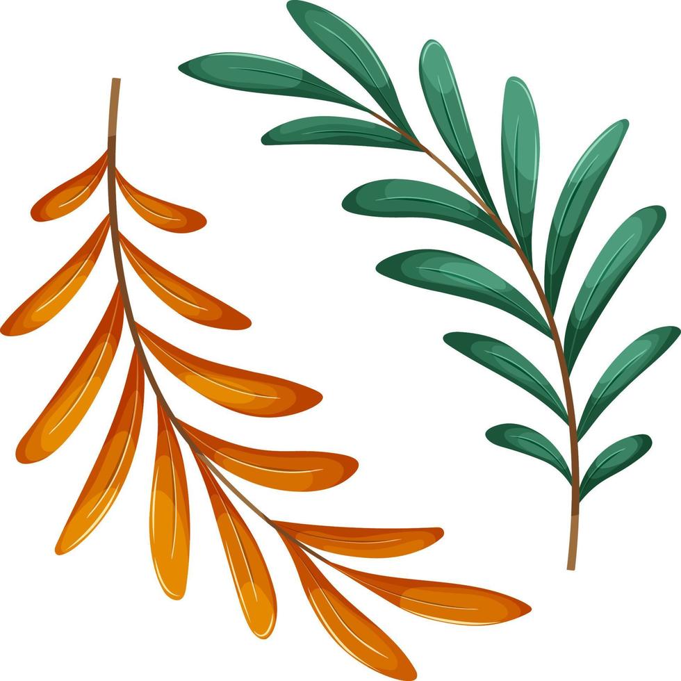 Green and orange branch, summer and autumn branch vector