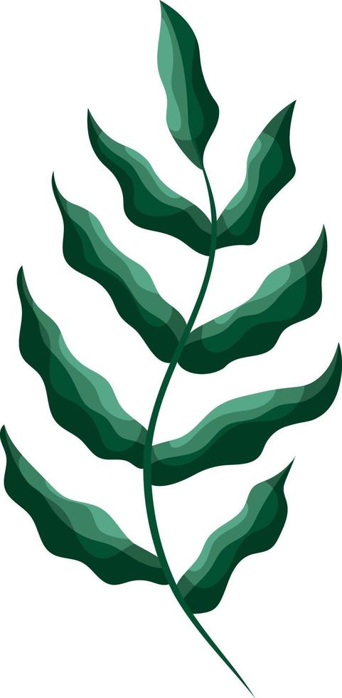 Simple green branch with wavy leaves vector