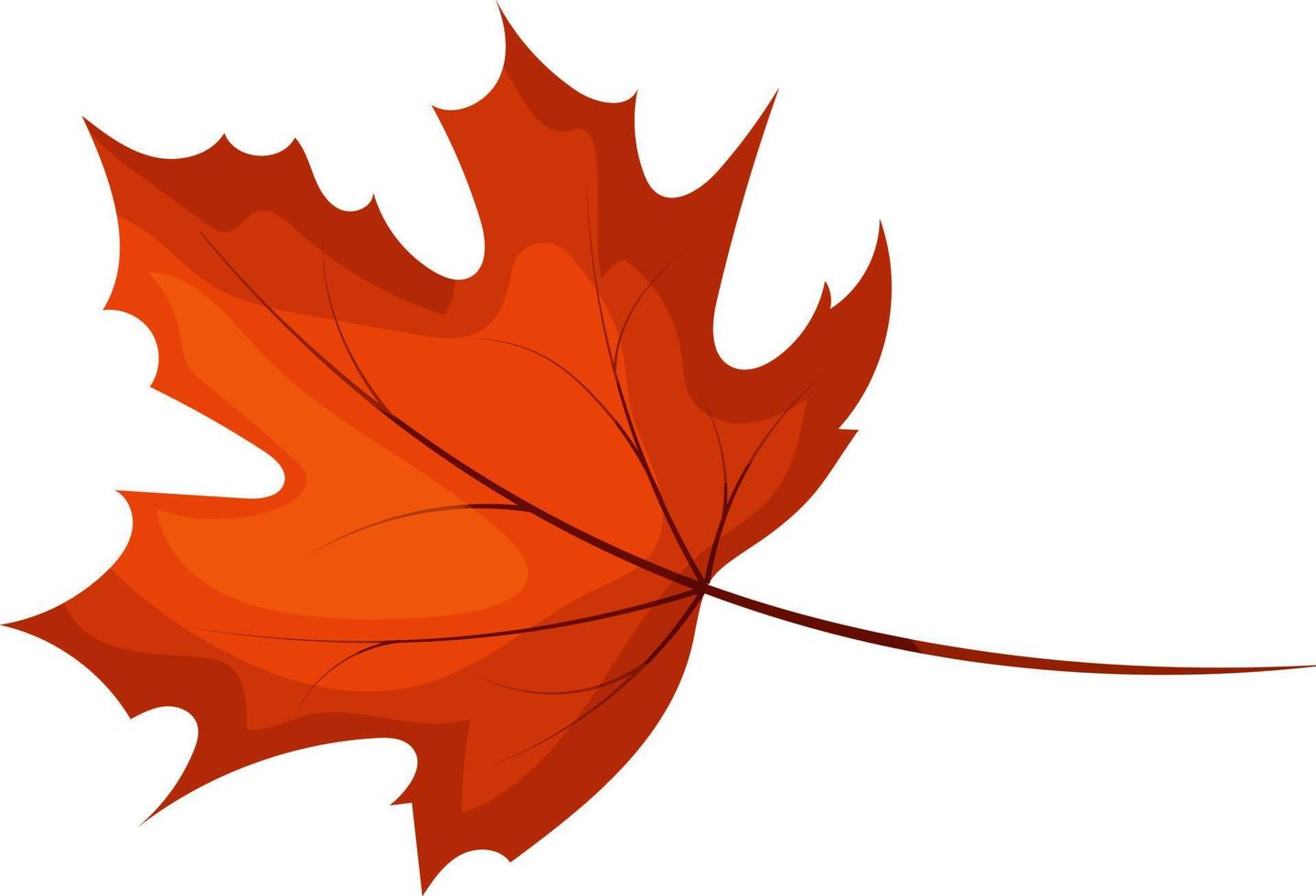 autumn maple leaf vector