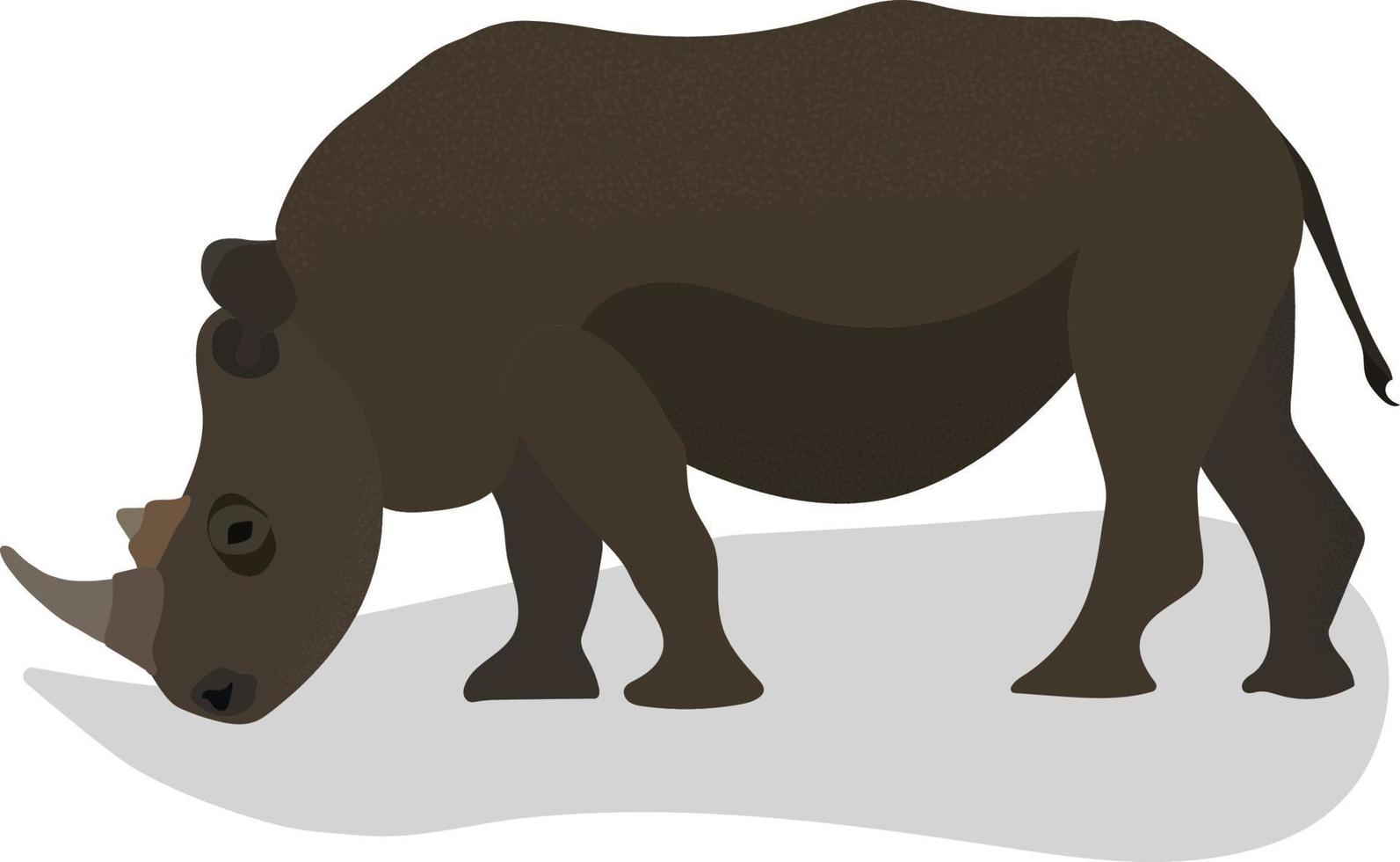rinoceronte de pie aislado. ilustración vectorial en estilo plano vector