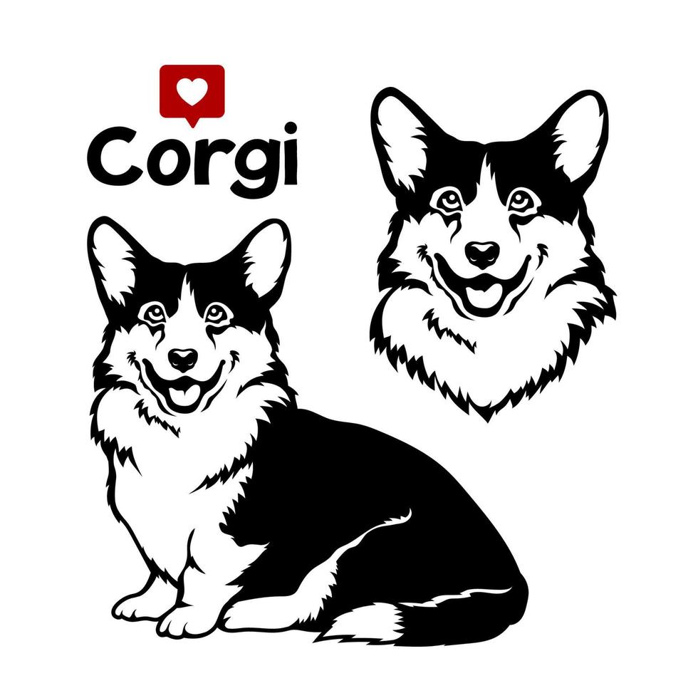 Welsh corgi cardigan dog. Vector illustration on white background