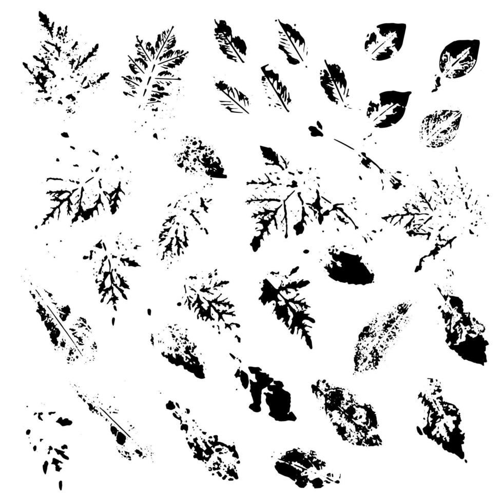 elementos florales abstractos aislados sobre fondo blanco vector