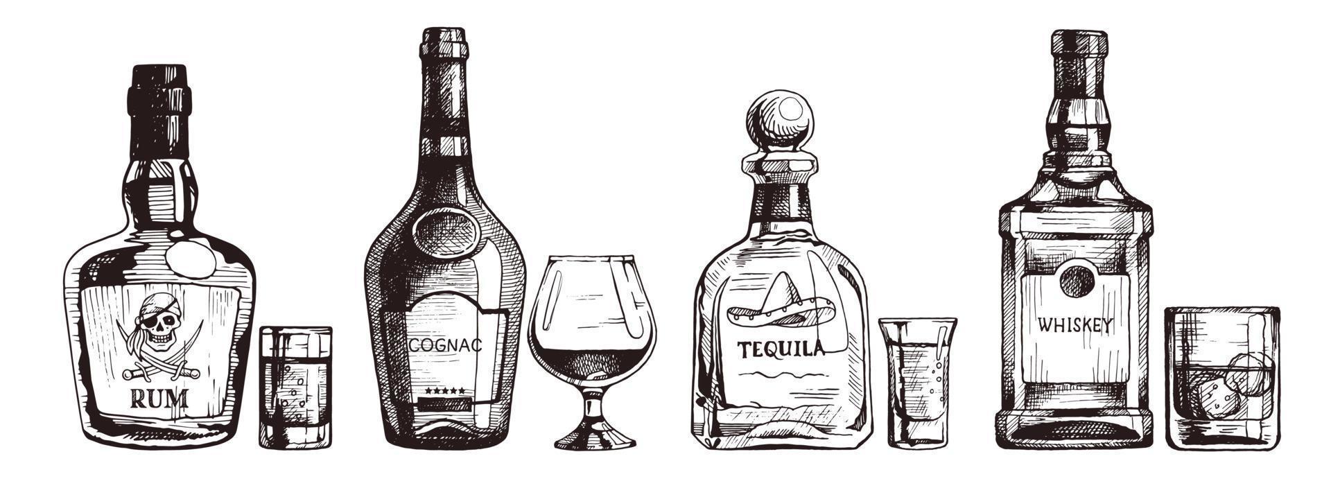 Hand drawn set of alcoholic drinks. Bottle of rum, cognac, tequila, whiskey. Vector beverage illustration, ink sketch