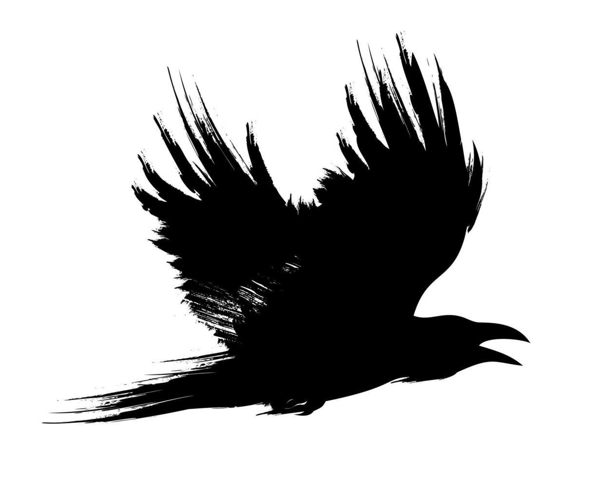 Flying black raven, crow brush painted vector illustration